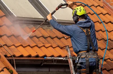 Démoussage et hydrofuge de toiture à Vaulx